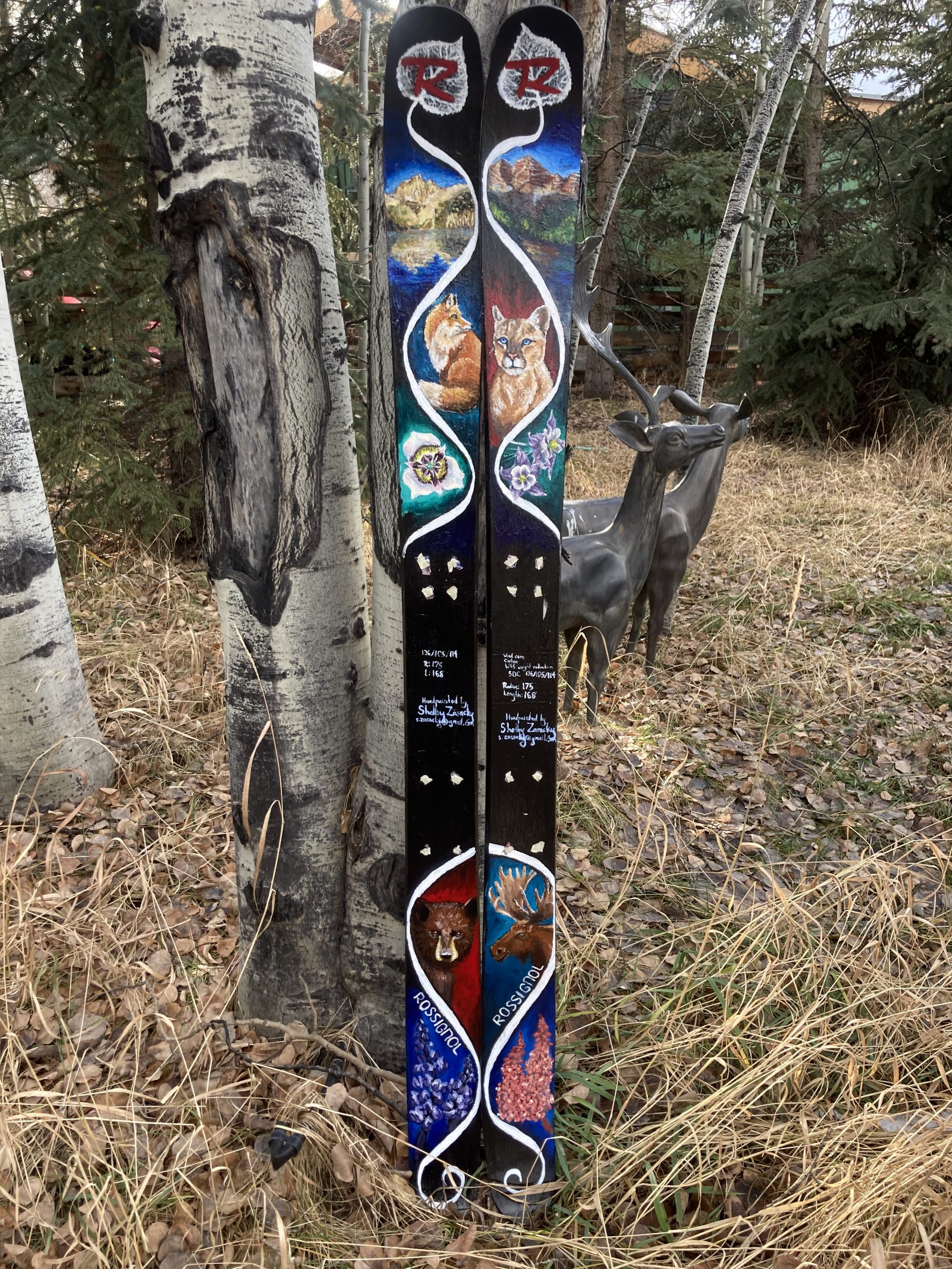 Hand painted skis with images of local flora and fauna